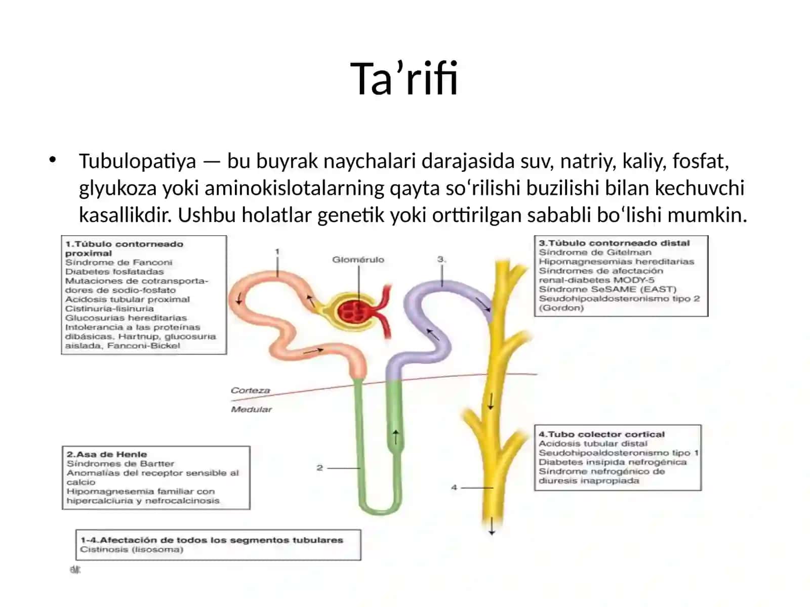 Tubulopatiyalar 2
