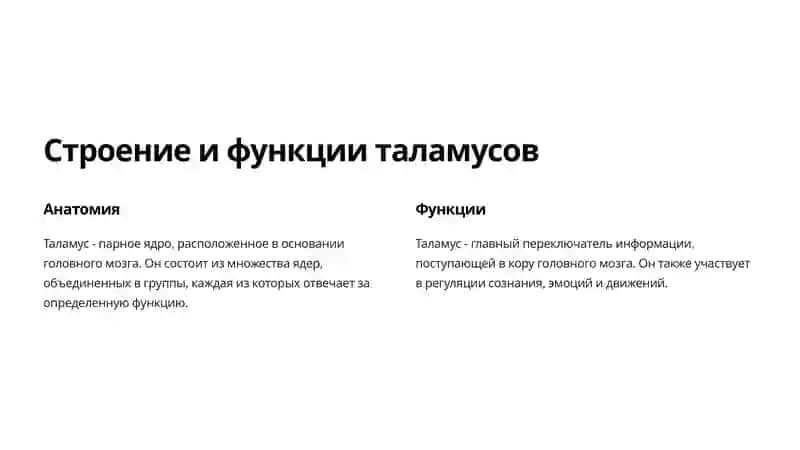 Анатомия Промежуточного Мозга 2