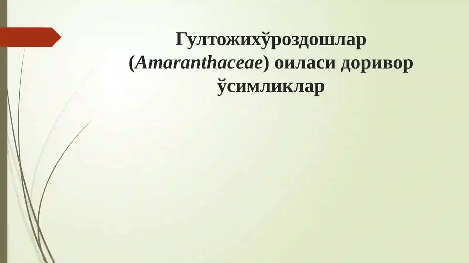 Гултожихўроздошлар (Amaranthaceae)oиласи 2