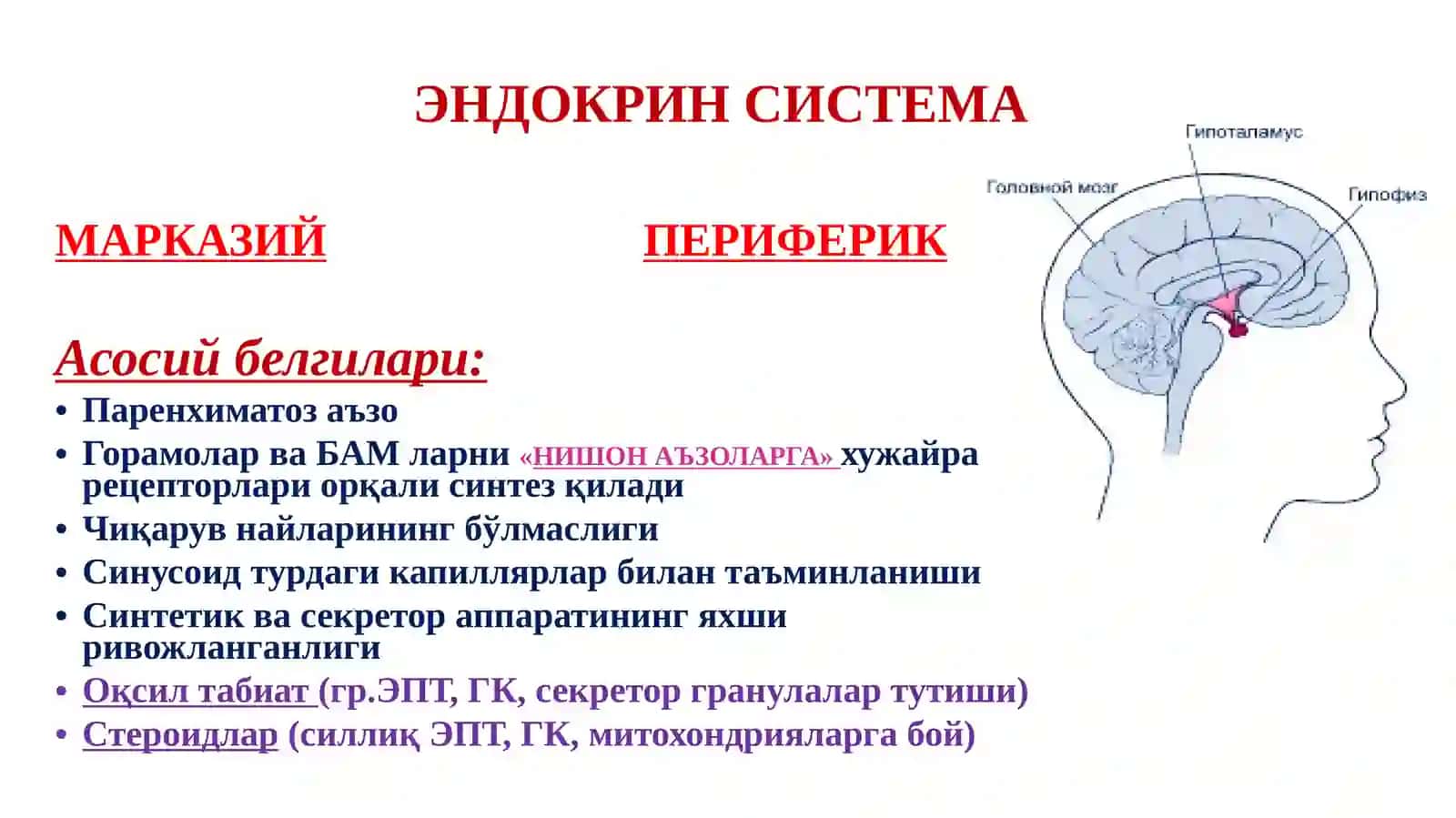 ЭНДОКРИН СИСТЕМА 2