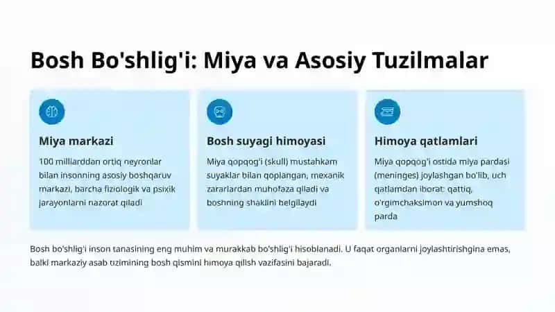 Bosh, Bo'yin va Tana Bo'shliqlari Anatomiyasi 2