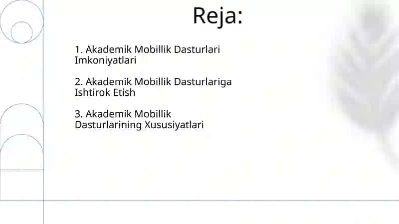 Akademik MOBILLIK DASTURLARI 2