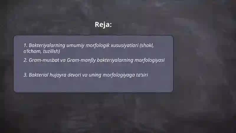 Bakteriyalarning morfologiyasi 2