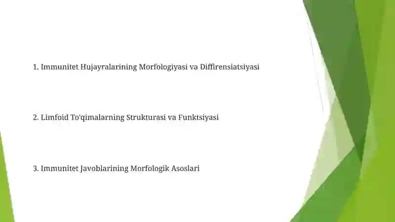 Immun himoya reaksiyalarining morfologik asoslari 2