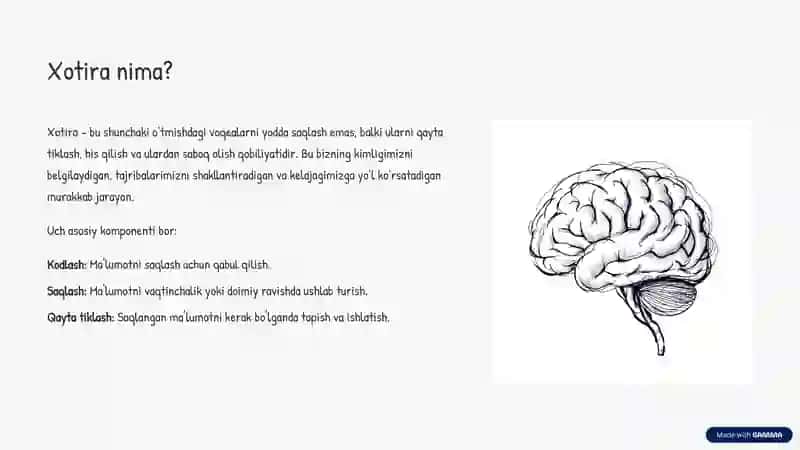 Xotira: Qalb va Aql Sayohati 2