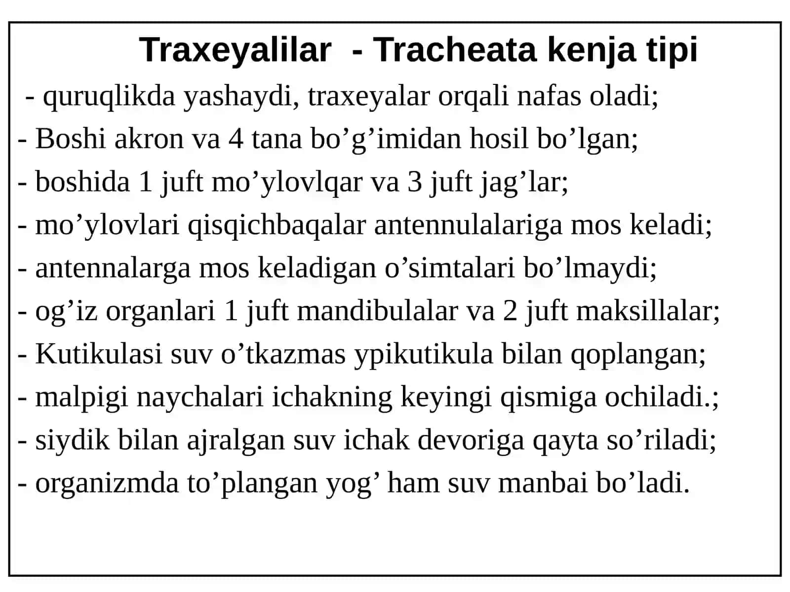 Traxeyalilar - Tracheata kenja tipi 2
