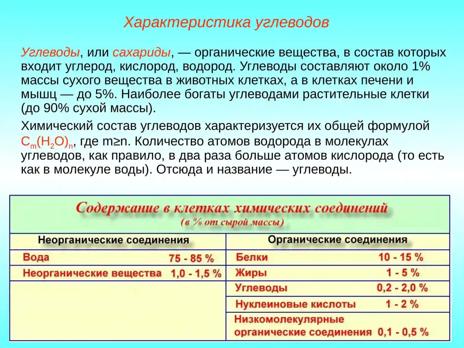 Углеводы, липиды 2