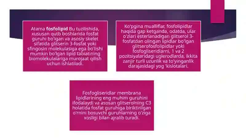 Fosfolipidlar 2