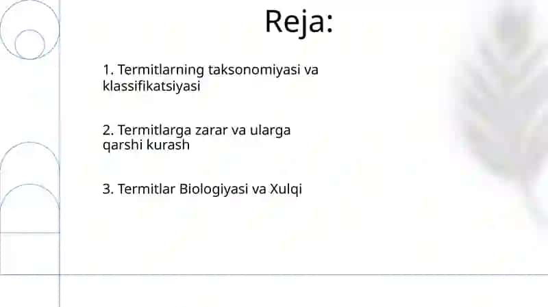 Termitlar turkumi- Isoptera 2
