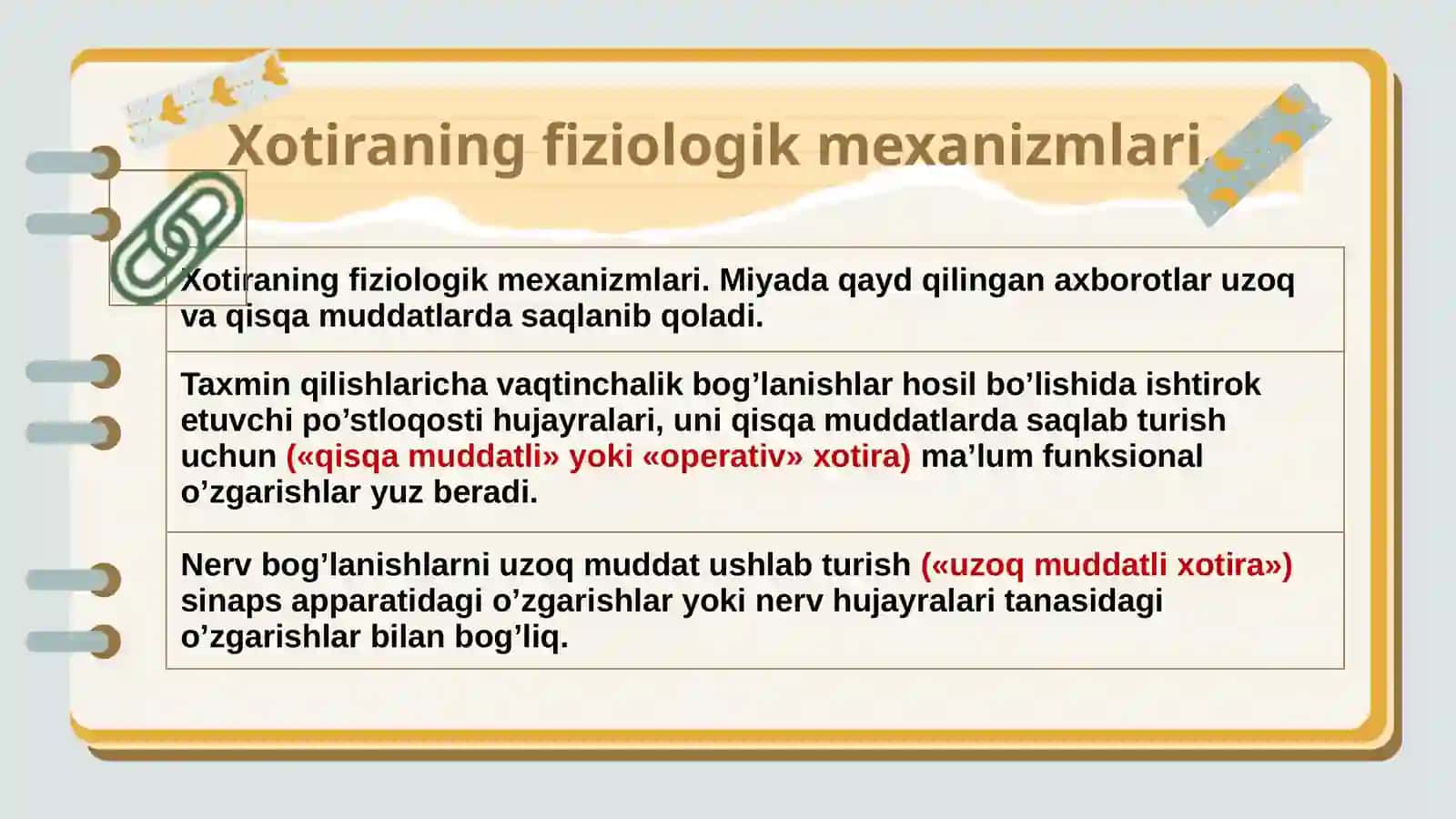 Qisqa va uzoq muddatli xotiraning fiziologik mexanizmlari 2