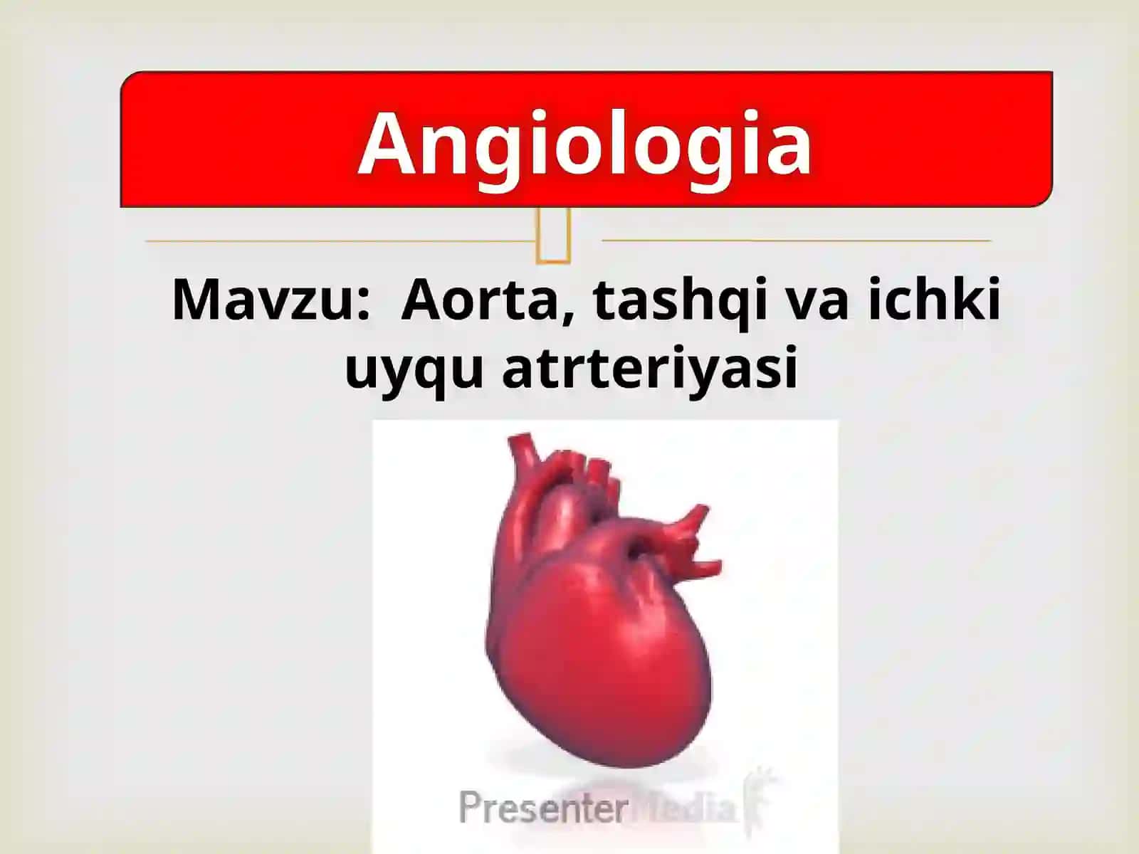 Aorta, tashqiva ichki uyquatrteriyasi 2