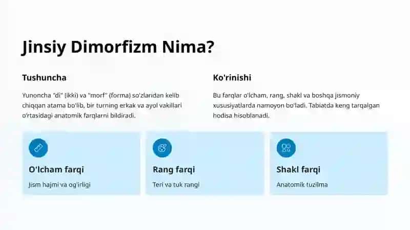 Jinsiy Dimorfizm Anatomiyasi 2