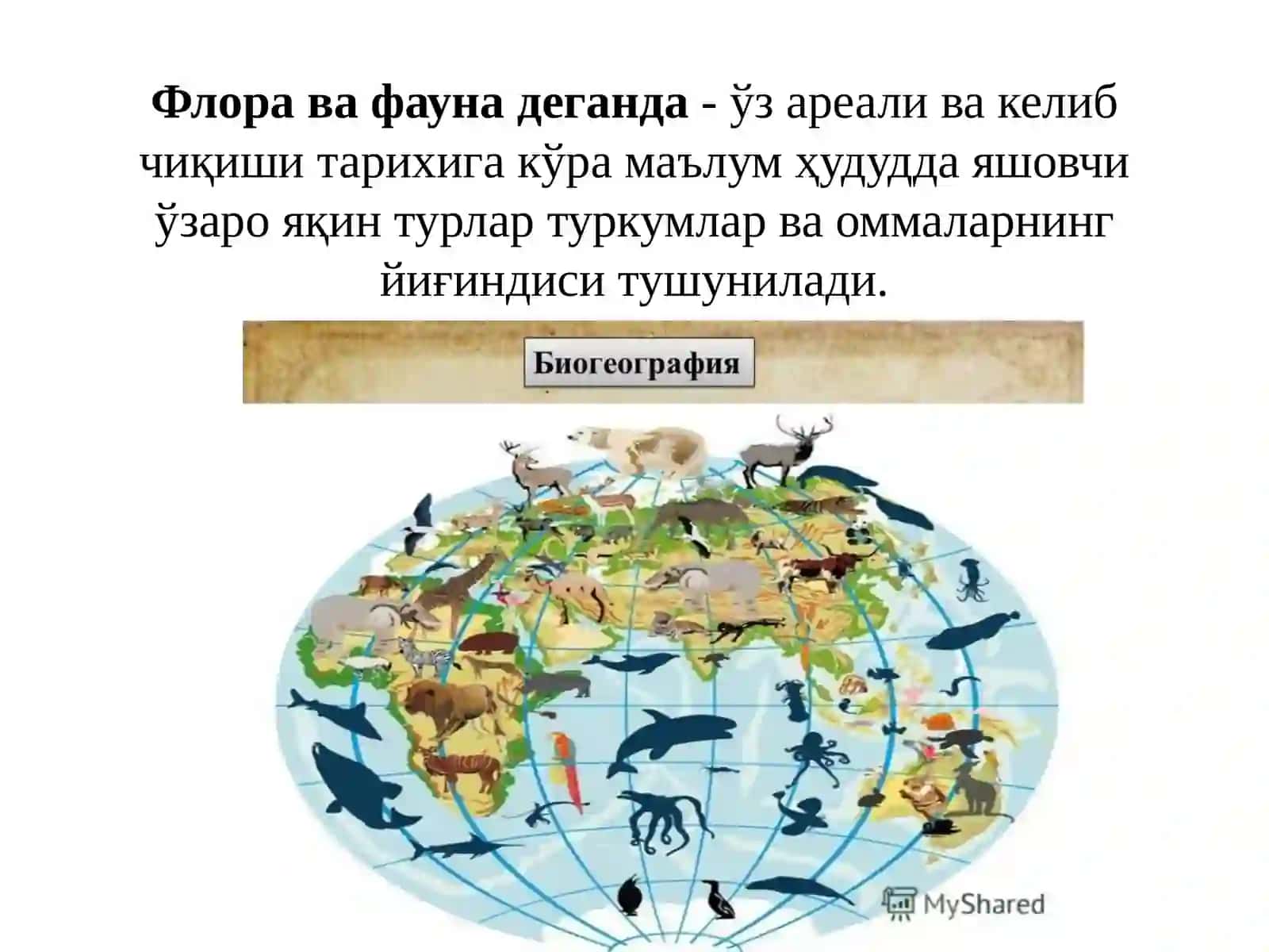 Флора ва фауна 2