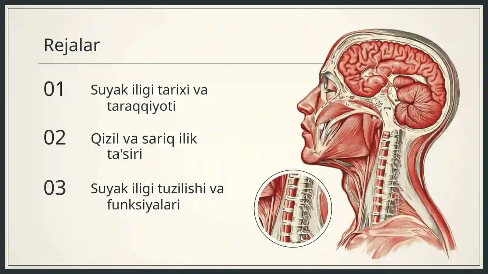 Suyak iligi tahlili 2