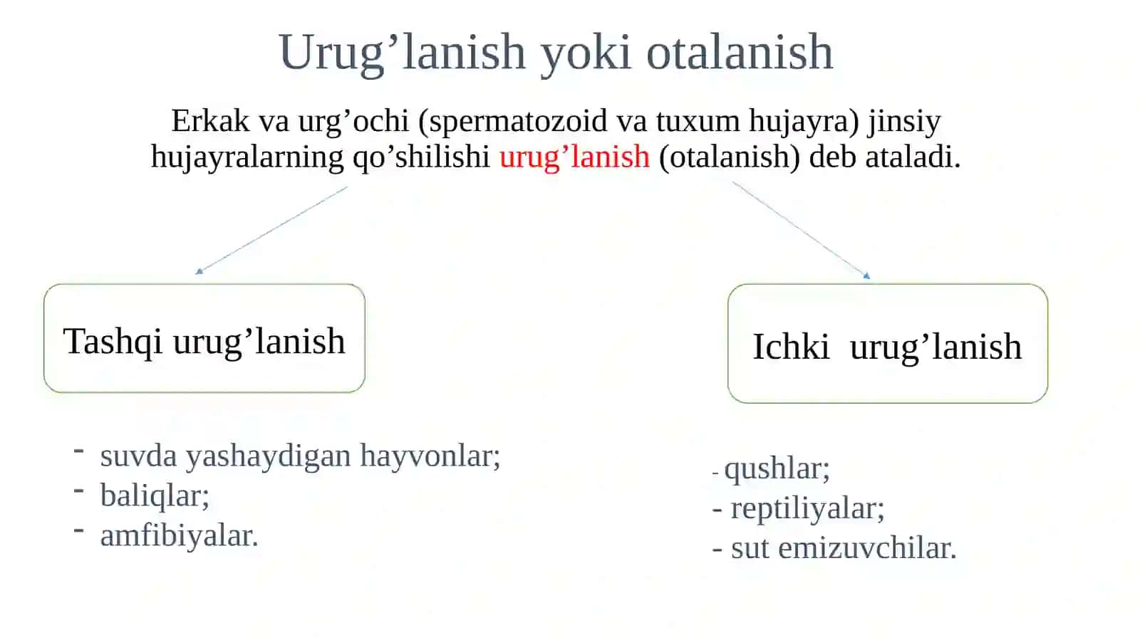 Urugʻlanish.Maydalanish.Implantatsiya 2