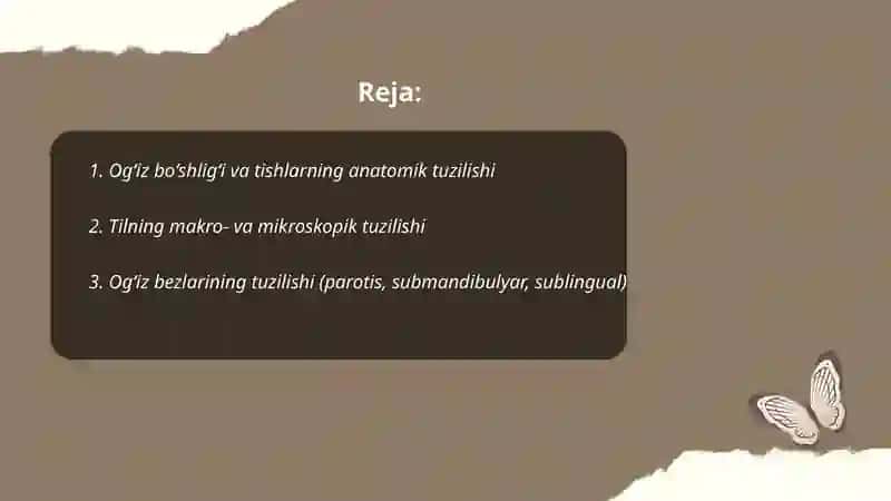 Ovqat hazm qilish aʼzolari tuzilishi 2