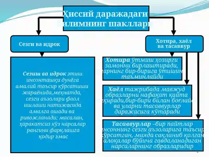 Хотира, Хаёл ва Тасаввур 2