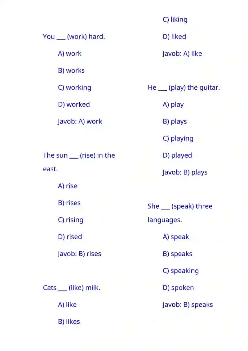 English Grammar Quiz 2