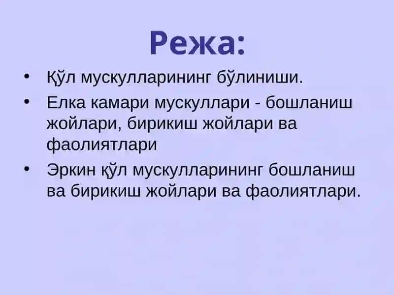 Елка камари ва эркинқўл мускуллари 2