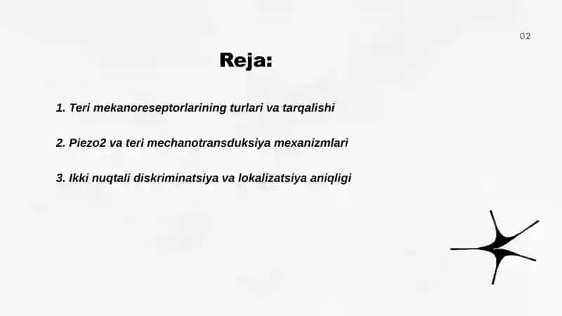 Sensor retseptsiya, teri analizatori lokalizatsiyani aniqlash 2