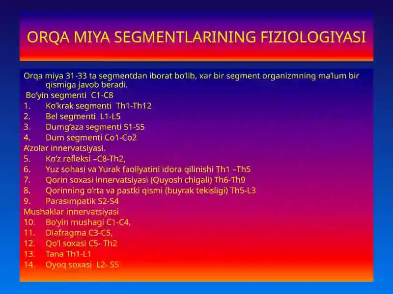 ORQA MIYA FIZIOLOGIYASI 2