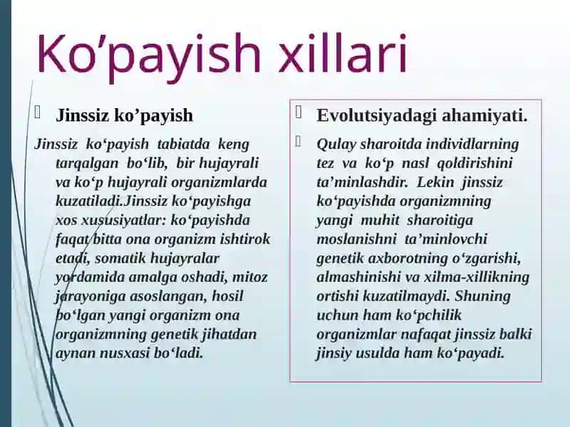 Jinssiz ko’payish 2