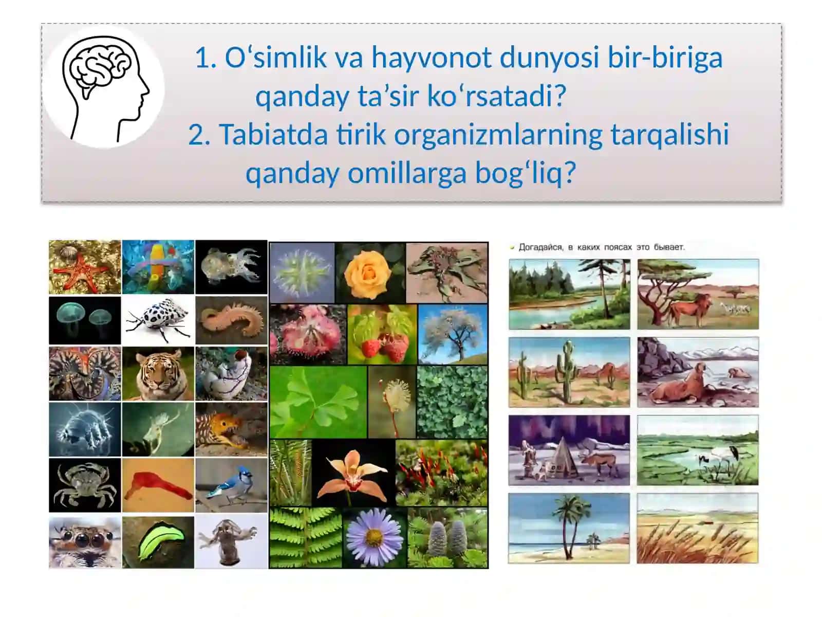 BIOSFERA 2
