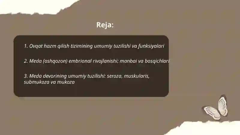 Ovqat hazm qilish tizimi 2