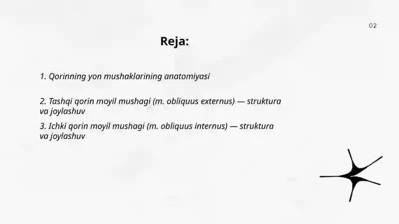 Qorinning yon mushaklari 2