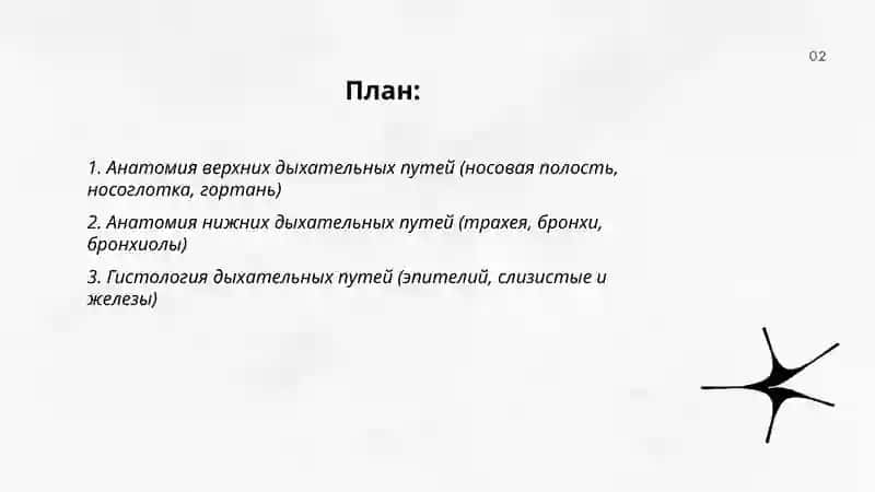 Система органов дыхания 2