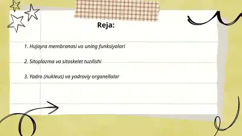 Hujayraning umumiy tuzilishi 2