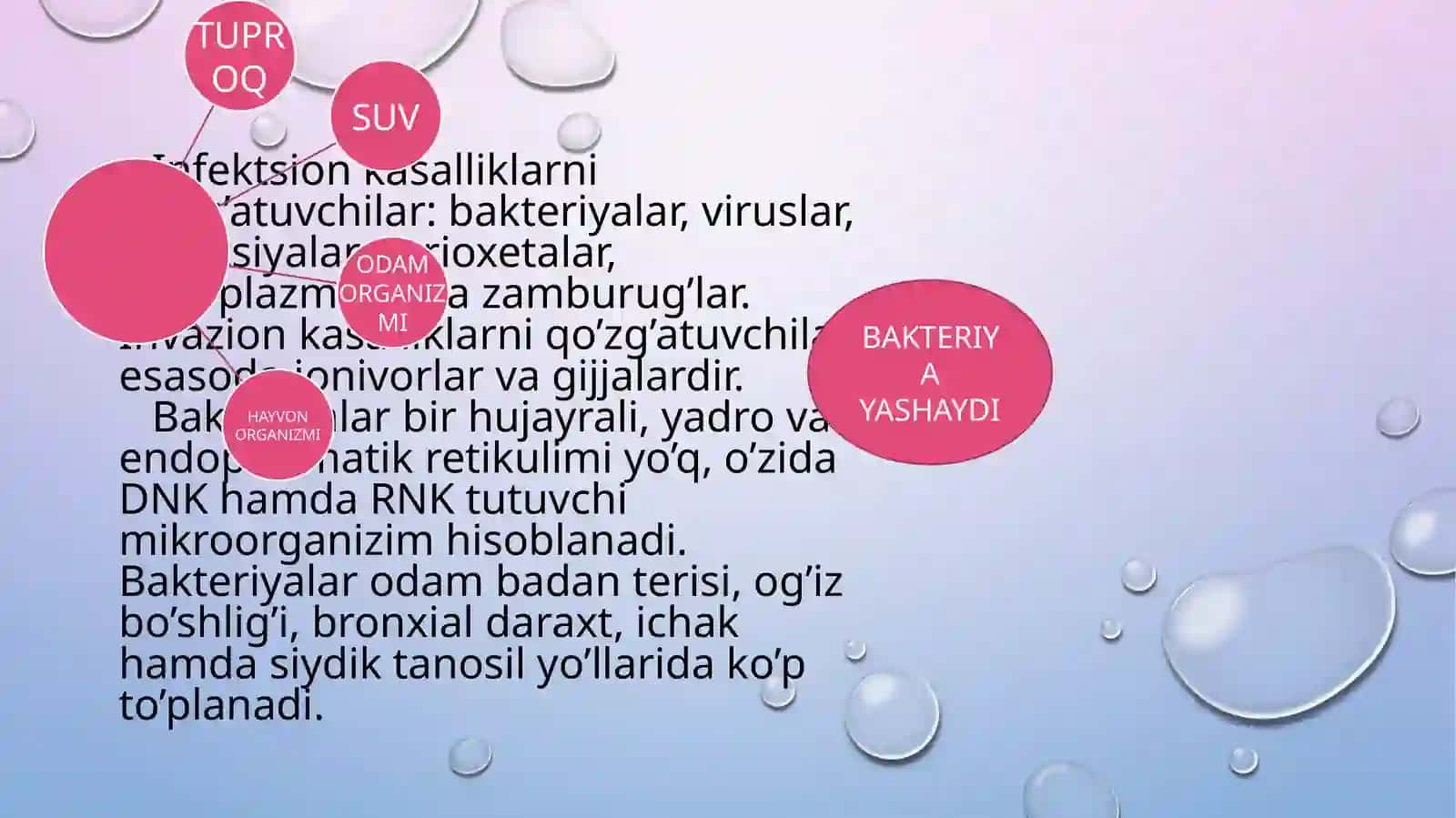 Zamburug‘li infeksiya ( kandidoz, aspergillez ) 2