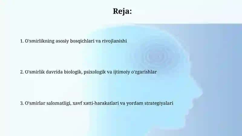 O'smirlik davri haqida tushuncha 2