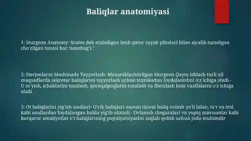 Sterjenlarni Mashinada Tayyorlash 2