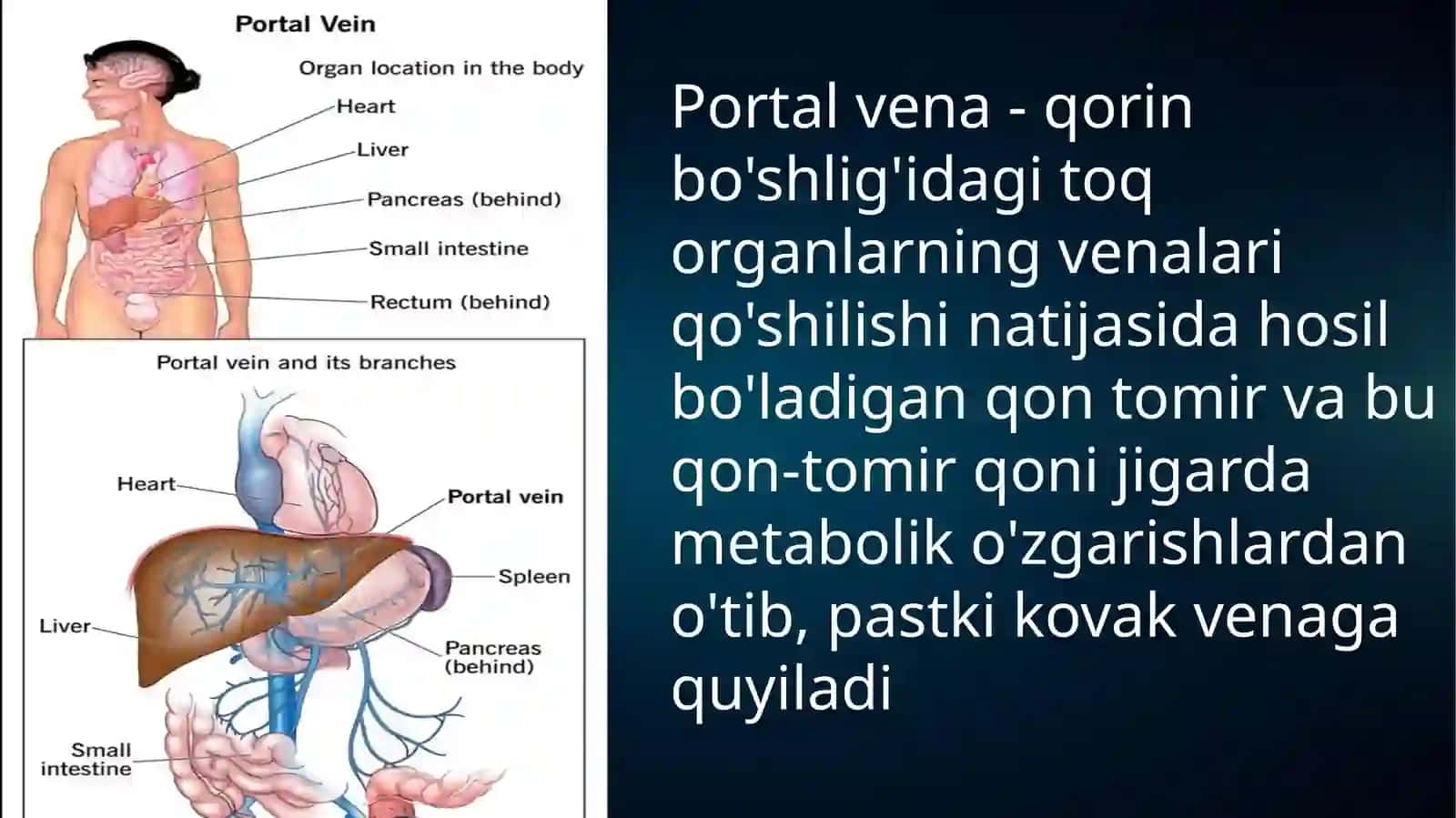 Portal Gipertenziya 2