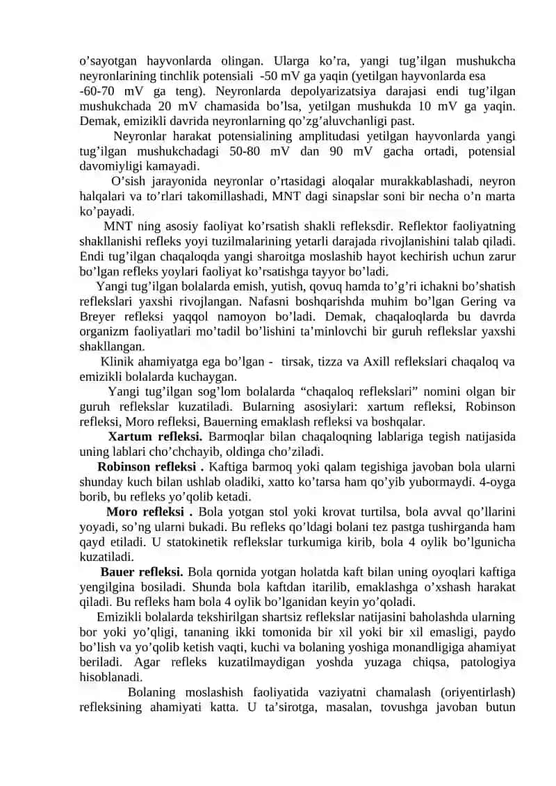 Chaqaloqlarining Markaziy Nerv Tizimi 2