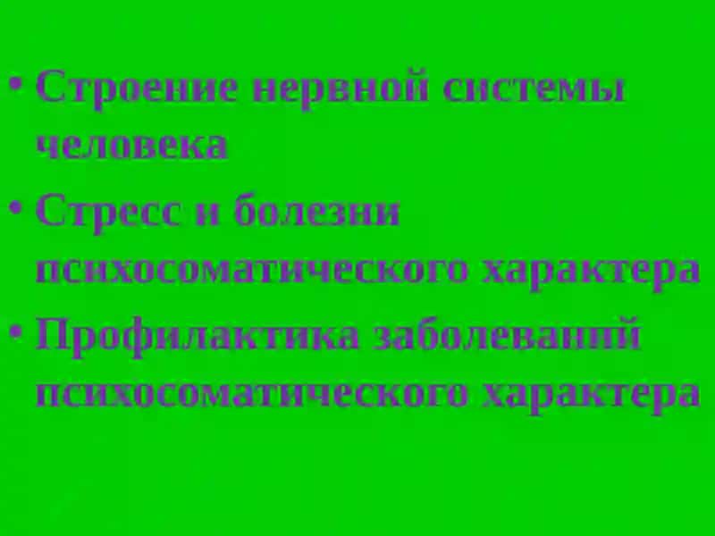 Нервная система человека 2