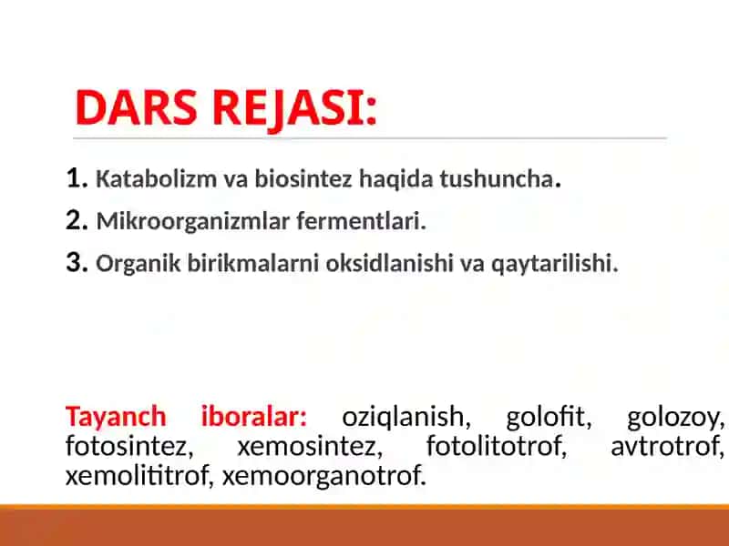 METABOLIZM 2