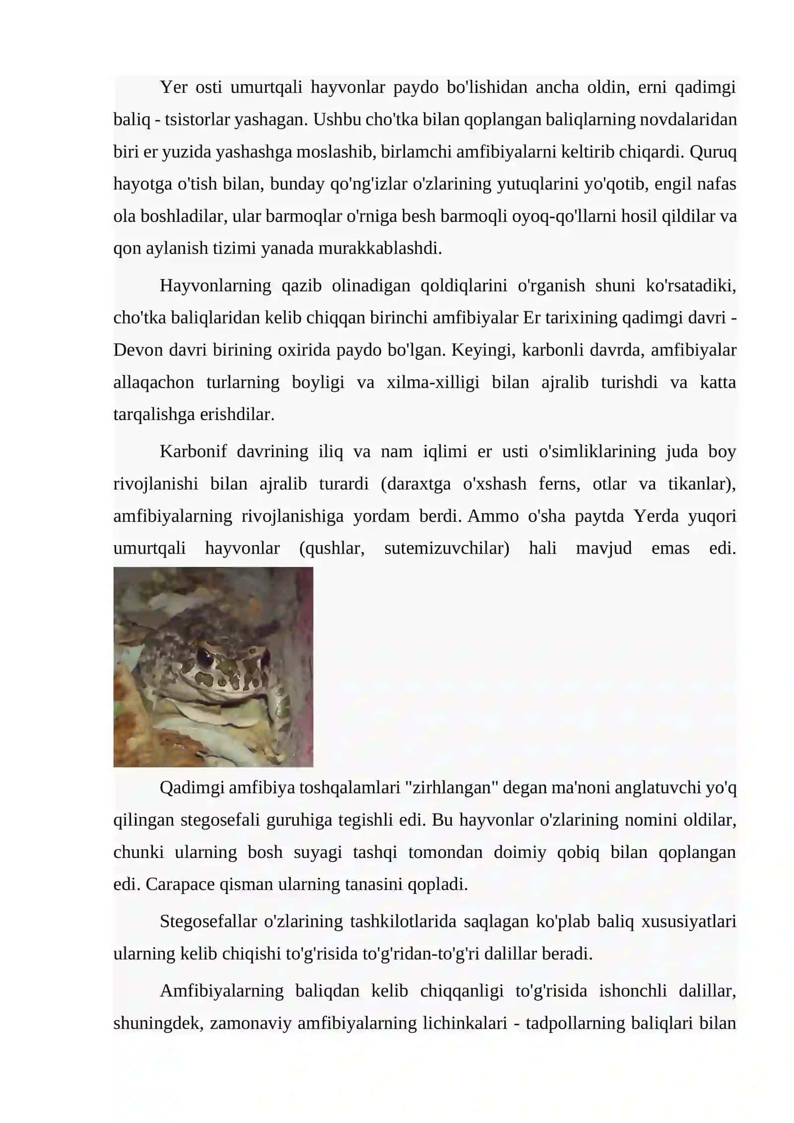 Umurtqali hayvonlar 2