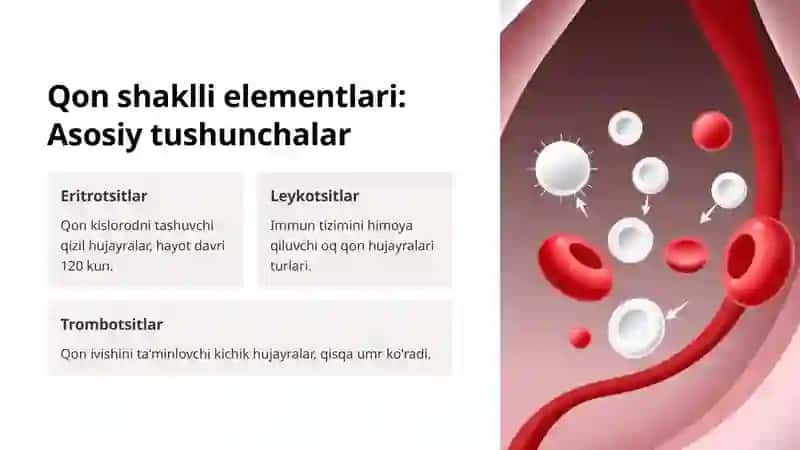 Qon hujayralari regeneratsiyasi: Kirish 2