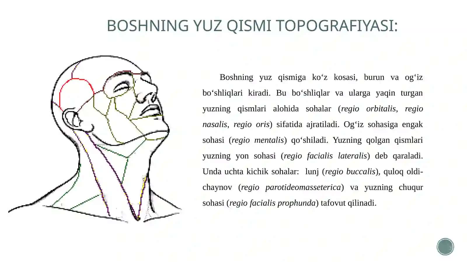BOSHNING YUZQISMITOPOGRAFIYASI 2
