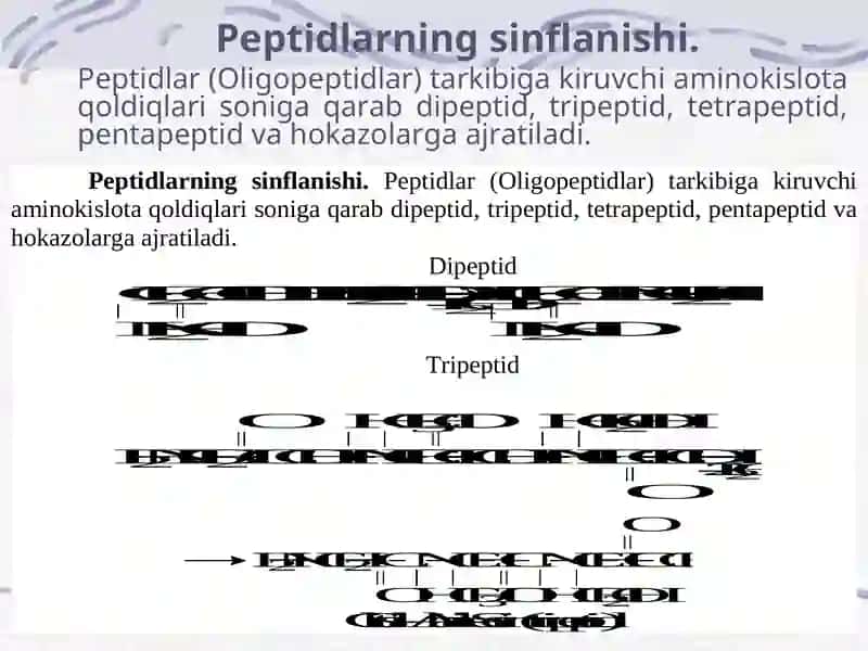 Peptidlarning  biologik vazifalari 2