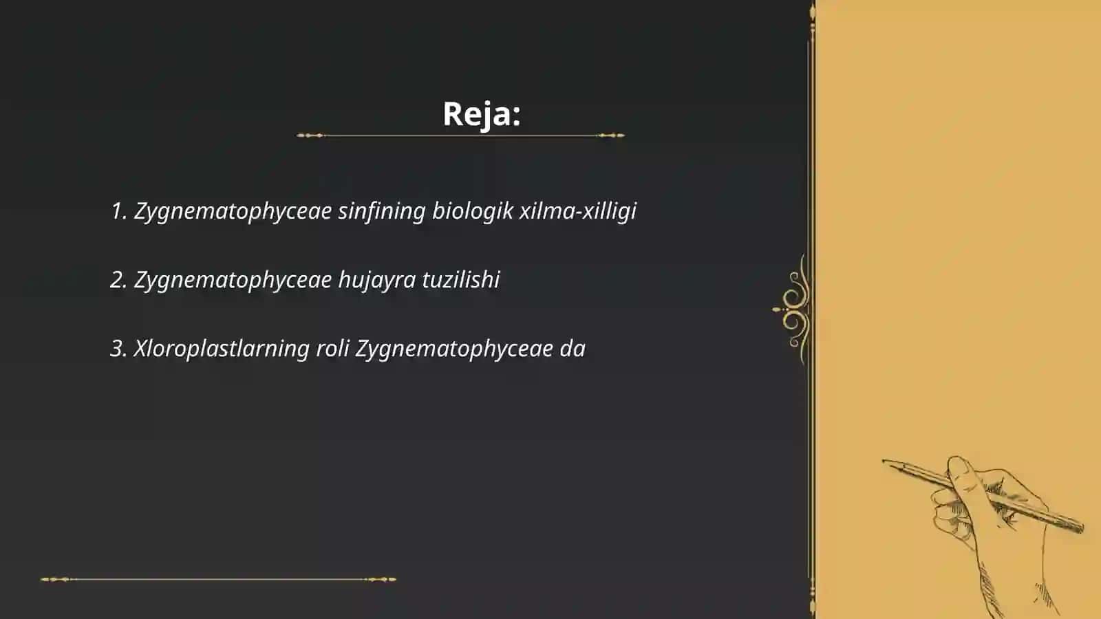 Zygnematophyceae sinfi 2