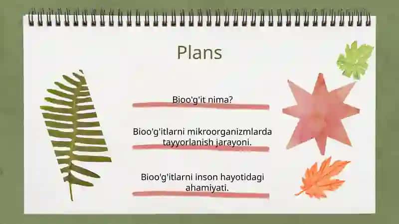 Mikroorganizmlar asosida bioo'g'it tayyorlash 2