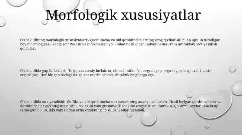 O‘zbek tilining morfologik xususiyatlari 2