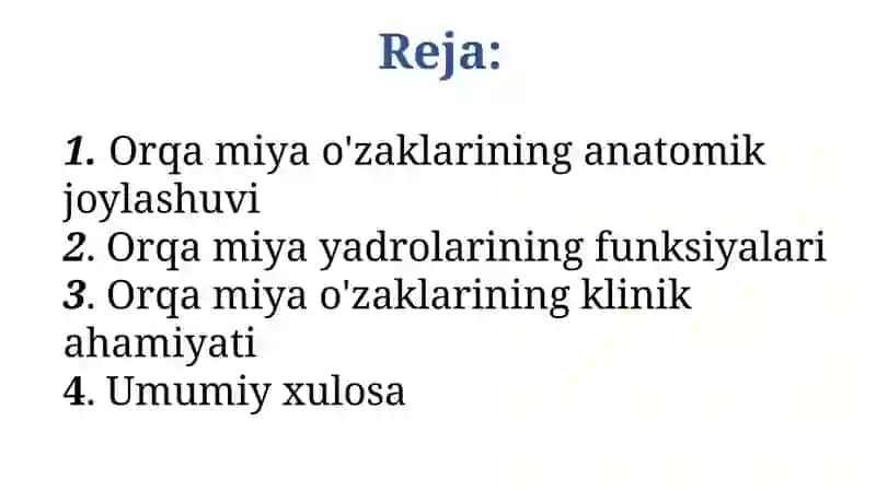Orqa miya o'zaklari 2