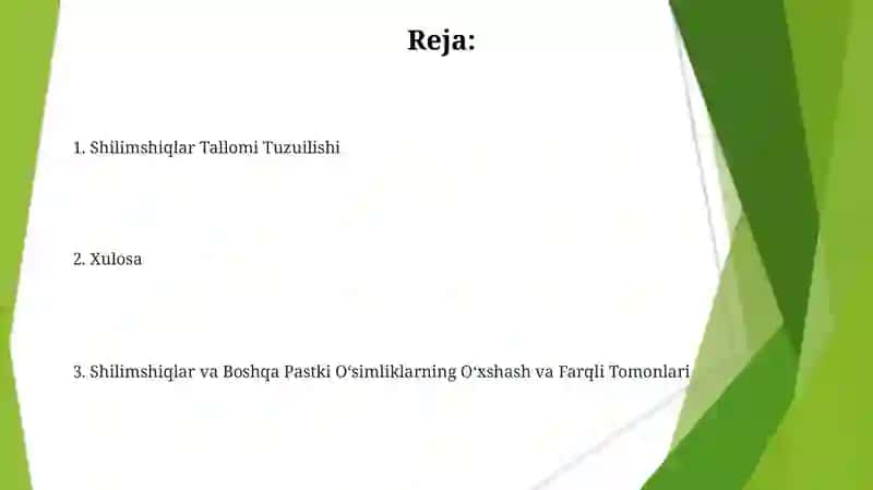 Shilimshiqlar Tallomi Tuzuilishi 2