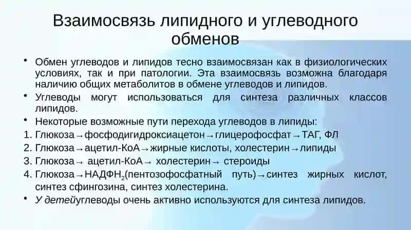 Взаимосвязь между углеводом липидном и аминокислот 2
