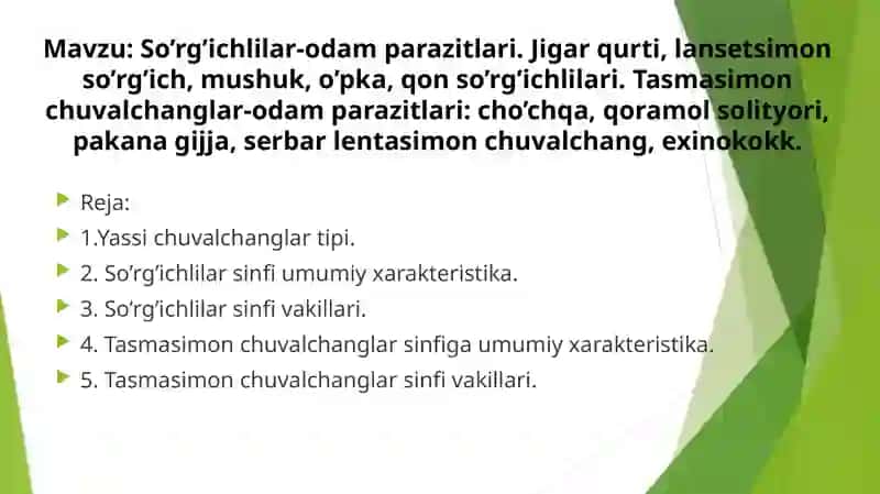 So’rg’ichlilar-odamparazitlari 2