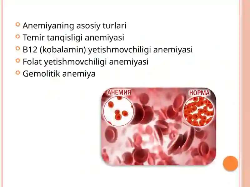 Temir tanqisligi va B12 vitamini yetishmovchiligi anemiyasi 2